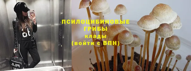 Галлюциногенные грибы Magic Shrooms Луга